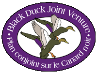 Black Duck Joint Venture