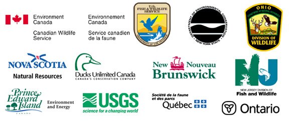 Black Duck JV Partner Logos